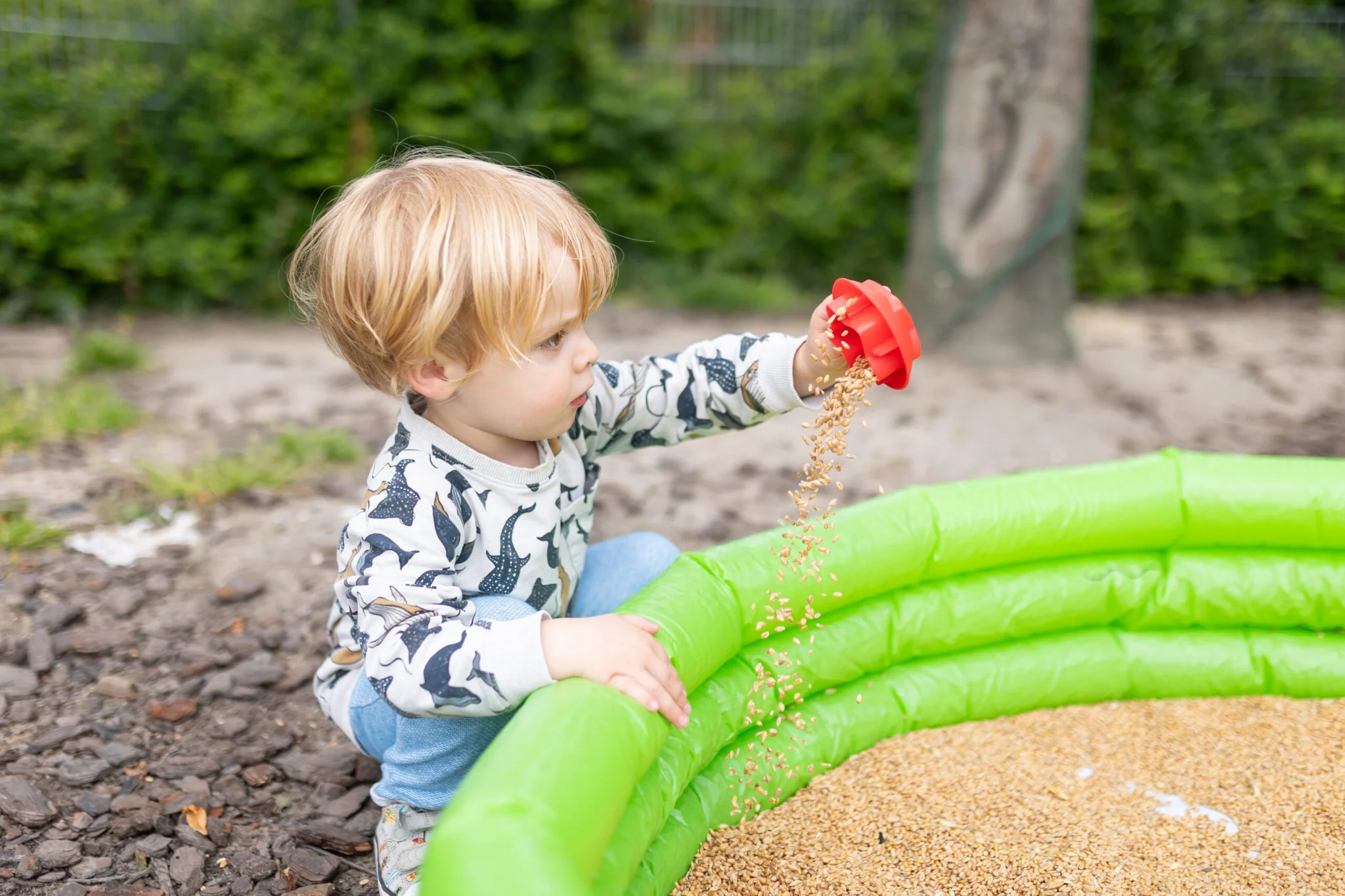 Kinderdagverblijf-Hoorntjes-Hoorn-Noord-Holland